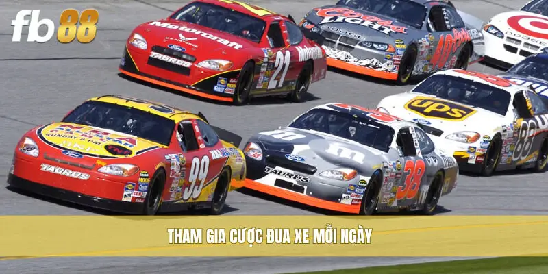 Tham gia cược đua xe mỗi ngày