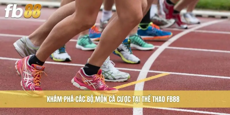 Khám phá các bộ môn cá cược tại thể thao FB88