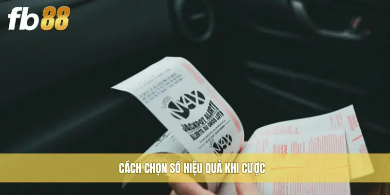 Cách chọn số hiệu quả khi cược